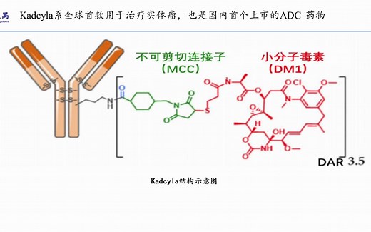 抗体偶联药物之十一：全球商业化最成功的ADC药物Kadcyla