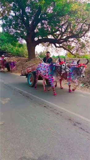 23 માર્ચ, 2026