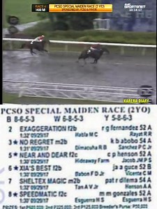 11K views · 179 reactions | 2017 "PCSO SPECIAL MAIDEN RACE (2YO)" Sino ang nanalo watch nalang bayang karerista. Like Follow & Share. | Karera DIARY | Facebook