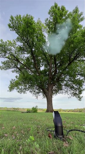 A High Power Laser Cuts Tree Branches in Seconds The Future of Tree Trimming