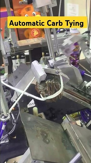 Automatic Crab Tying machine process explained : Technologying Packaging #packing