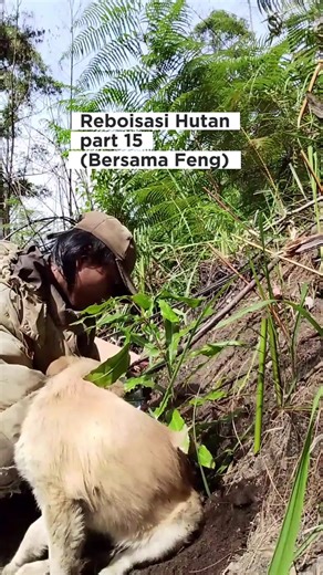 Day 117 HUTAMA KTH ALAM HIJAU Pohon Ini di donasikan Oleh: Doddy RF Manik Macademia Nut 010126-MC Selasa, 20 Januari 2026 Terima Kasih donasi Pohonnya. Yang ingin berdonasi berikut linknya: https://forms.gle/ccueAS1qbwSrtnTKA #cintaalam #Reboisasi #samosir