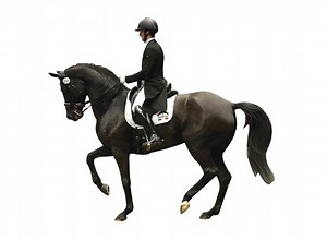 It's a knockout! New dressage contest attracts fans - Horse & Hound