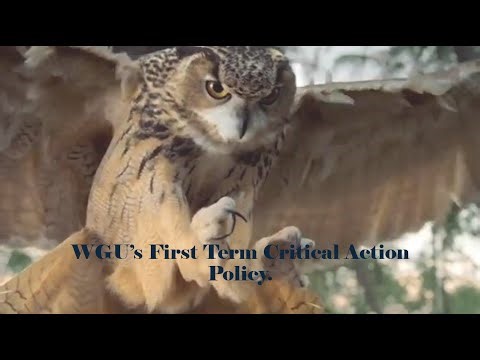 WGU's First Term Critical Action Policy