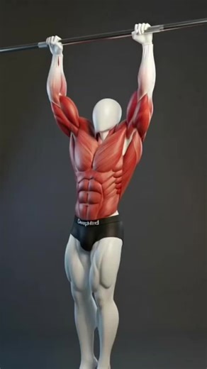 Real Strength Combo Workout 💪🔥 Build real strength with Bulgarian split squats, strict chin-ups, and diamond push-ups. This powerful combo targets your legs, back, chest, and triceps in one efficient routine. No machines. No shortcuts. Just clean reps and real results. Comment “STRONG” if you’re in and follow Dr ZENPHD for more serious training content. #StrengthTraining #BodyweightWorkout #MuscleBuilding #HomeWorkout #fitnessreels