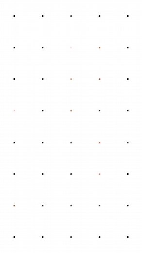 Muscular Fitness Showcase: Posing and Flexing