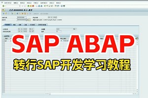 SAP高级顾问学姐分享ABAP模块学习 转行SAP顾问必看 更多视频教程请微itoggg