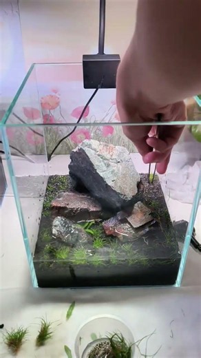 Setting up a planted aquarium #aquarium #aquascapelowtech #fishtank #aquascapegallery #aquascape