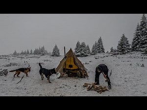 2 Days Winter Camping in a Snowstorm at 1847m | Hot Tent Survival Camping with Dogs