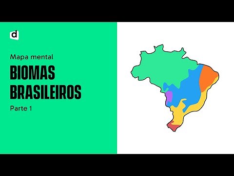 BRAZILIAN BIOMES - Part 1 | GEOGRAPHY | Mind Map | Want Me to Draw