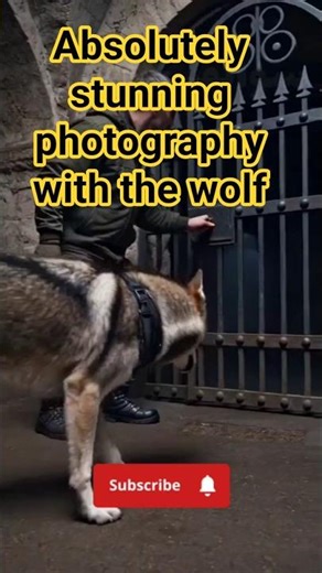 I’m a Wolf Exploring the Abandoned Tunnels Beneath Paris Catacombs