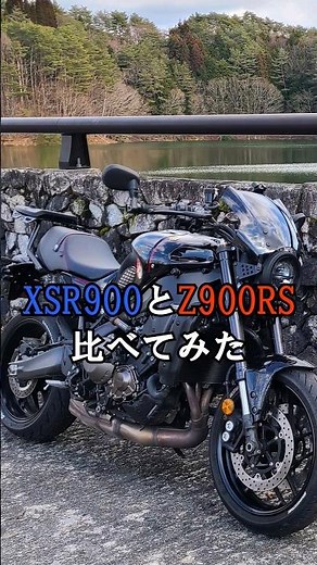 XSR900とZ900RSを比べてみた#yamaha #xsr900 #xsr #kawasaki #z900rs
