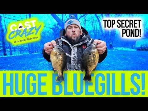 Catching Big Bluegills on a Secret Pond in Ohio!