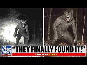 The Michigan Dogman Has Been Caught On Camera, Here's The Proof