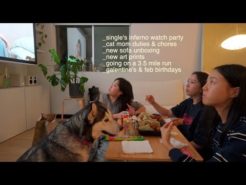 new furniture & decor, simple days in the life | vlog