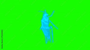 4k green screen Cockroach technology video. Cockroach technology video, Cockroach 360 turn, Cockroach wireframe video