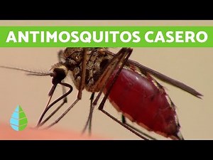 Homemade Mosquito Repellent - Ecological Mosquito Repellent