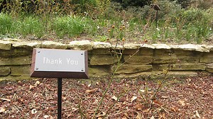 More Than Words: Saying ‘Thank You’ Does Make a Difference