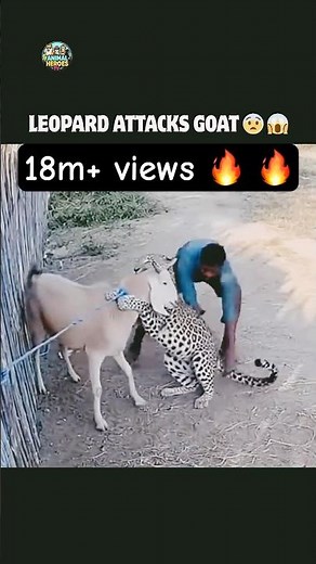 Real Heroes Don’t Wear Capes… They Act FAST 😳