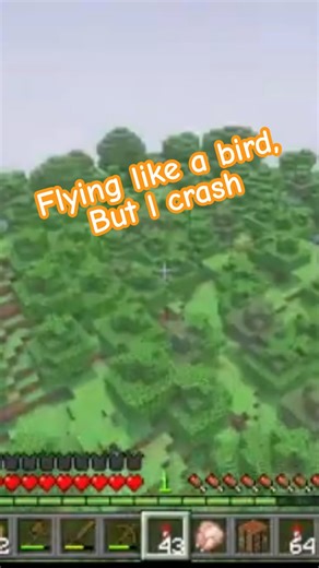 🚀 Elytra flight gone WRONG! Thought I nailed the landing… 💥 CRASH & BURN! 😭😂