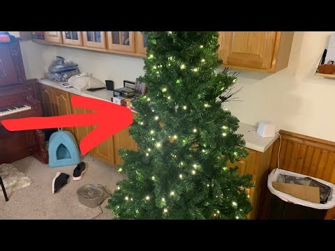 All to Know About Shareconn Chirstmas Tree. How to Use Remote