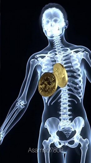 World’s Most Powerful Magnet Explained – 1200 Tesla Destruction! ⚡🧲 #facts #shorts ​