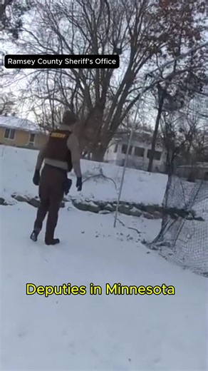 Minnesota deputies cut a deer free after it was tangled in a batting cage net.