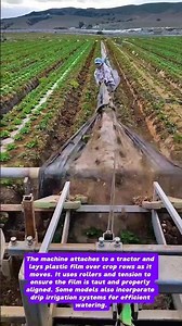 Innovative Farming: Plastic Mulch Layer Machine in Action!