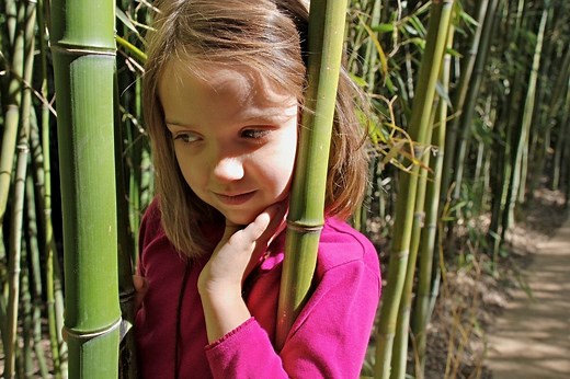 Can You Compost Bamboo? — Don't Get Rid of Those Bamboos Yet!