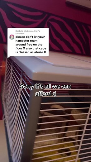 Caitlin the orphan :) on TikTok