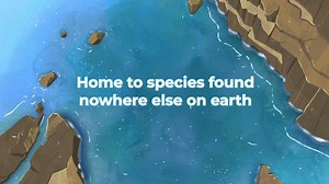 Biosecurity (U.S. National Park Service)