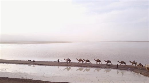 The Afar Tribe: "White Gold" Miners in the Land of Death Part 5 | Afar Histories Gallery