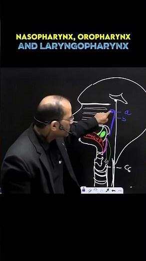 Oropharynx #anatomy #pw #drpradeeppawar #science #todayviral #treding #reel #shorts #viralvideos