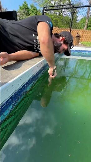 Our pool hasn’t been this gross since we took the deck off the top of it #poolcleaning #cleaning