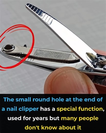 154K views · 30 reactions | Amazing uses  | Video Clip | Facebook