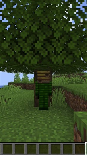 Bee Pranks #minecraft #gaming #bee #memes #meme #viral #pranks #prank #trend #bees #lol #funny