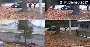 North Korean Troops Violated Truce While Chasing Defector, U.N. Command Says