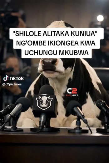 NG'OMBE ILIYOGONGWA NA SHILOLE YAONGWA NA WAANDISHI WA HABARI.