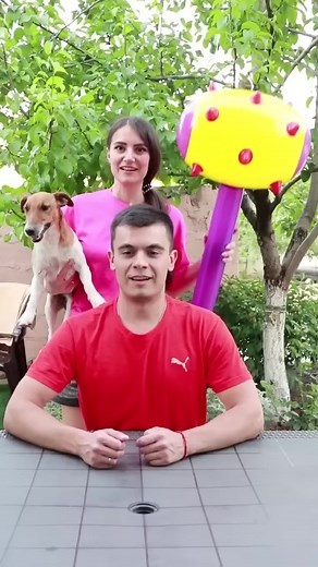 1.1M views · 10K reactions | Left or right challenge with dog shorts by Secret Vlog | Secret Vlog | Facebook