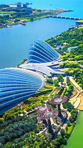 Singapore A Dream Come True!