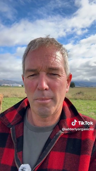 Farming Cows: A Glimpse into Organic Practices in NZ