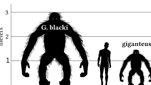 The prehistoric ape that would give King Kong nightmares