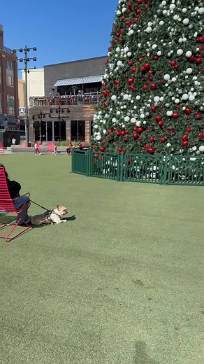 Shopping 🛍️😘 | Heather Sellers