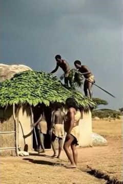 Life Million Years Ago| How Early Humans Built Shelter, Homes ”#prehistoric #film #short