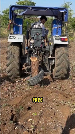 How Workers Remove Huge Tree Roots Fast 🌳