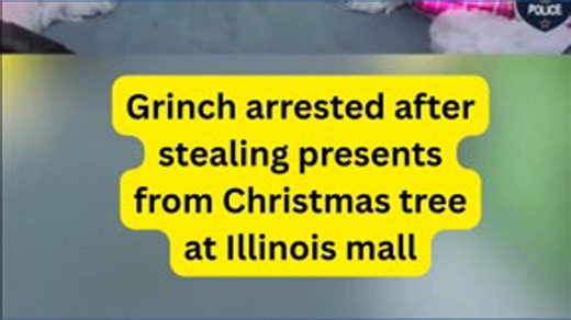 Man in Grinch costume arrested for stealing Christmas presents