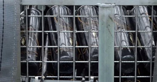 L'Elixir Falernum, il primo liquore affinato sott'acqua