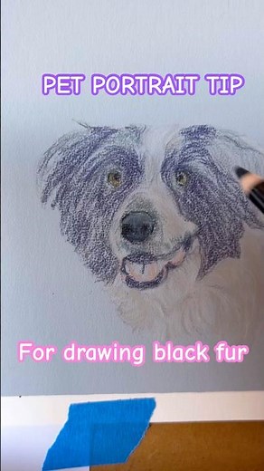 Pet portrait tutorial - drawing black fur #beginnerarttips #arttips