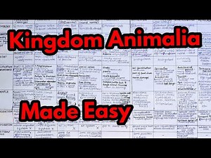 Kingdom Animalia|Easy way for kindom Animalia|Table for kingdom animalia|Diversity among Animals 11