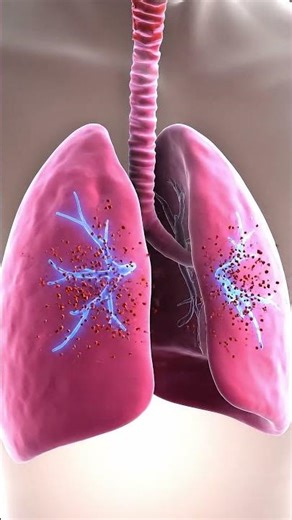 Old People Aren't Efficient Breathers... But Why? #usmle #usmlestep1 #step1